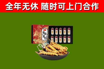 衡阳烟酒回收冬虫夏草礼盒.jpg
